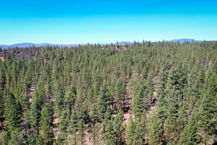 2.74 Acres, Klamath County, Oregon, R400747 2.74 Acres, Klamath, Oregon R400747 - Image 6