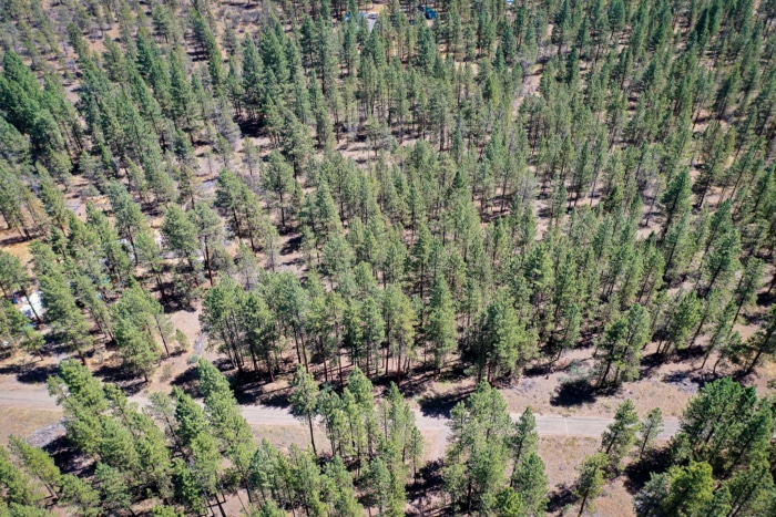 2.74 Acres, Klamath County, Oregon, R400747 2.74 Acres, Klamath, Oregon R400747 - Image 13