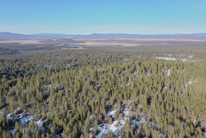 7.53 Acres, Bonanza Oregon, Parcel 01600 7.53 Acres, Klamath, Oregon R-3811-021B0-01600-000 - Image 3