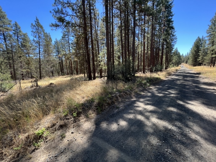 2.74 Acres, Klamath County, Oregon, R400747 2.74 Acres, Klamath, Oregon R400747 - Image 15