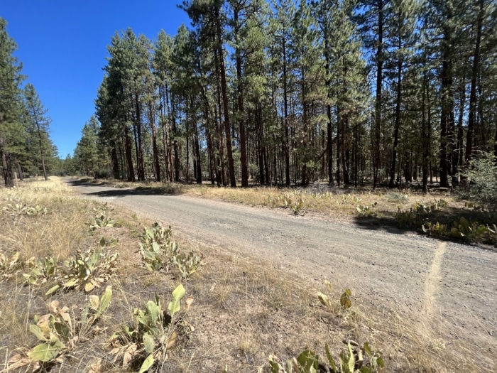 2.74 Acres, Klamath County, Oregon, R400747 2.74 Acres, Klamath, Oregon R400747 - Image 17