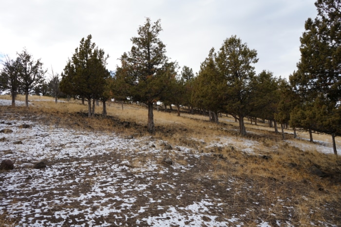 1.565 Acres, Crook County Oregon, Parcel 003657 - Image 14