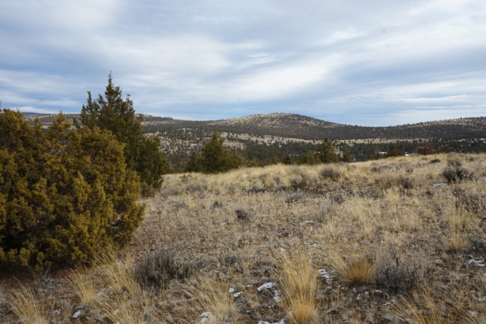 1.565 Acres, Crook County Oregon, Parcel 003657