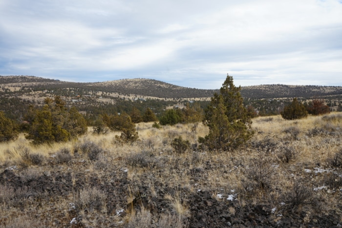 1.565 Acres, Crook County Oregon, Parcel 003657 - Image 8
