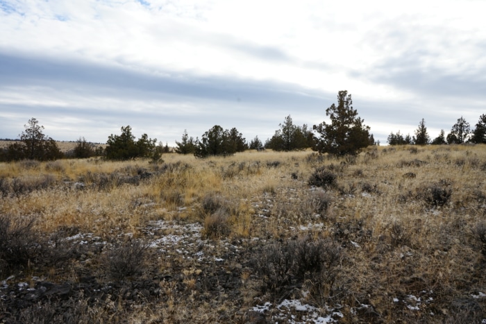 1.565 Acres, Crook County Oregon, Parcel 003657 - Image 7