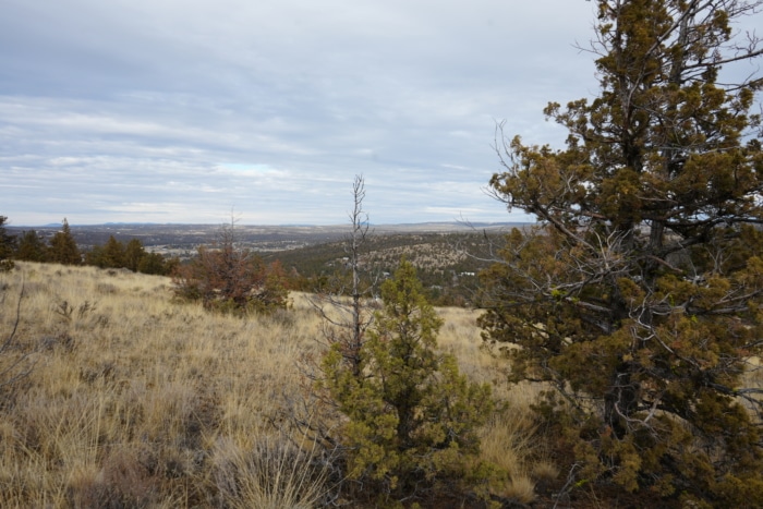 1.565 Acres, Crook County Oregon, Parcel 003657 - Image 4