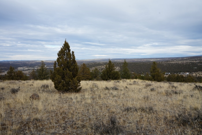 1.565 Acres, Crook County Oregon, Parcel 003657 - Image 3