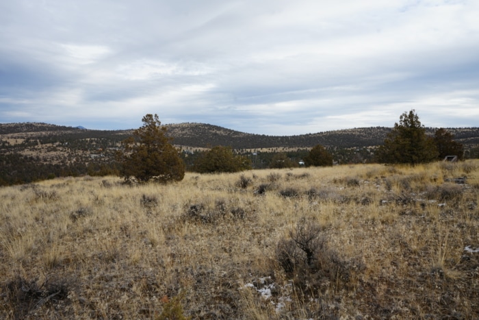 1.565 Acres, Crook County Oregon, Parcel 003657 - Image 2