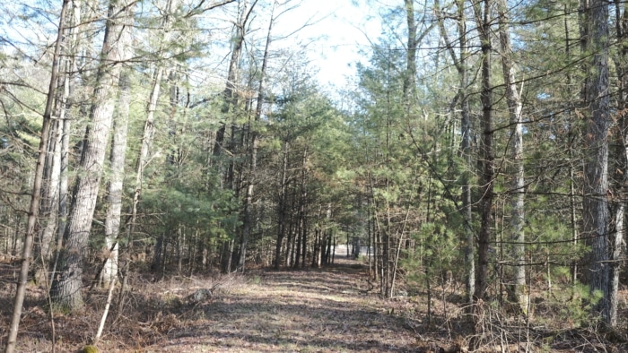 5.1 Acres, Sullivan County New York, Parcel 483000-33.-1-32.3 - Image 3