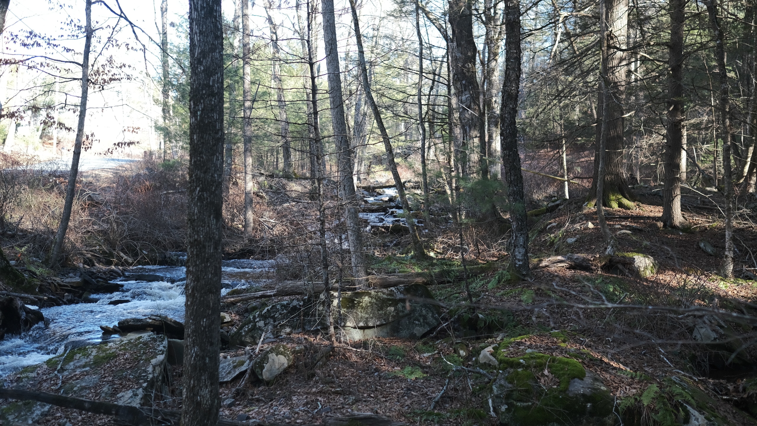 14.34 acres, Sullivan County NY