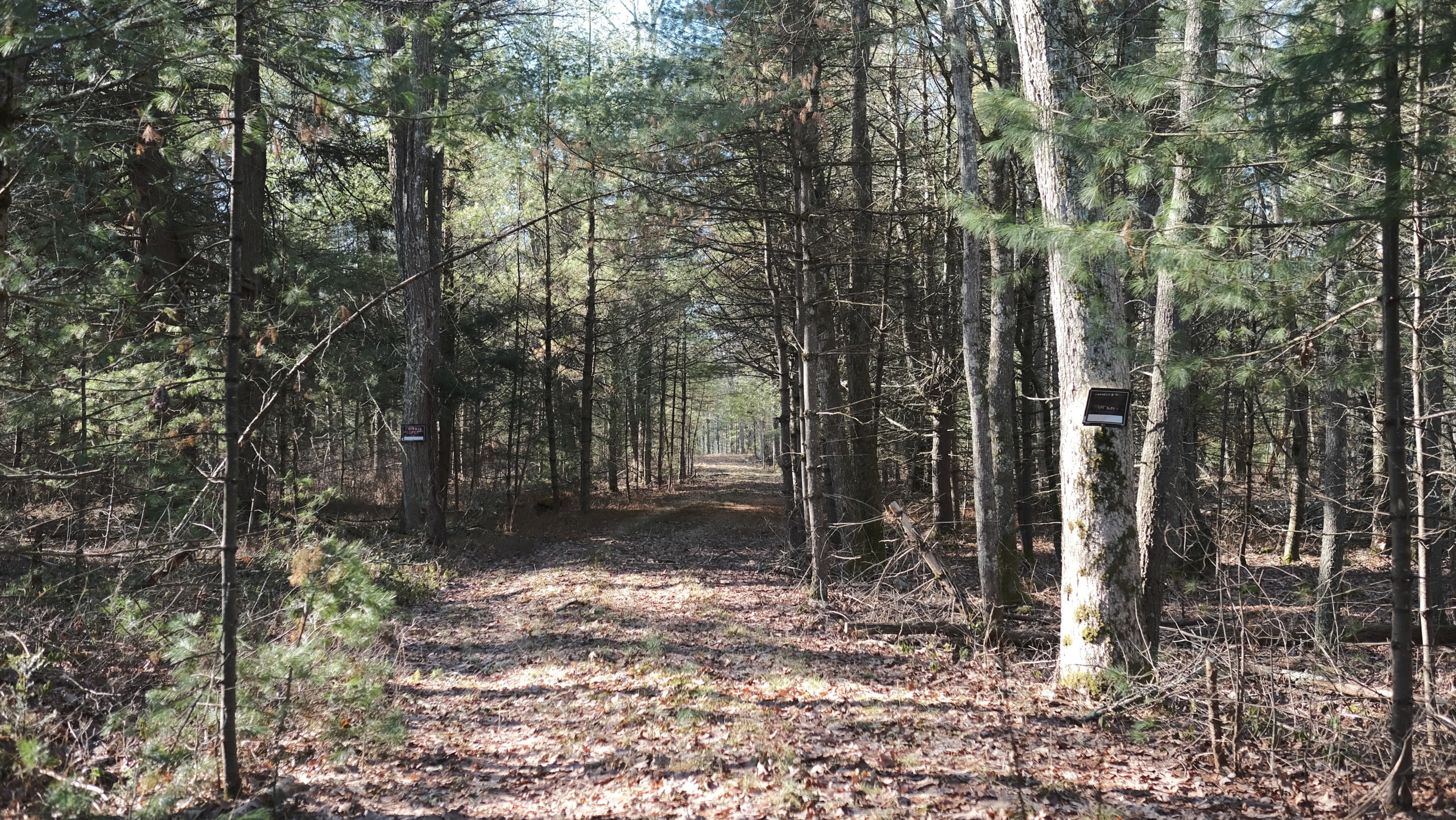 14.34 acres, Sullivan County NY - Image 4
