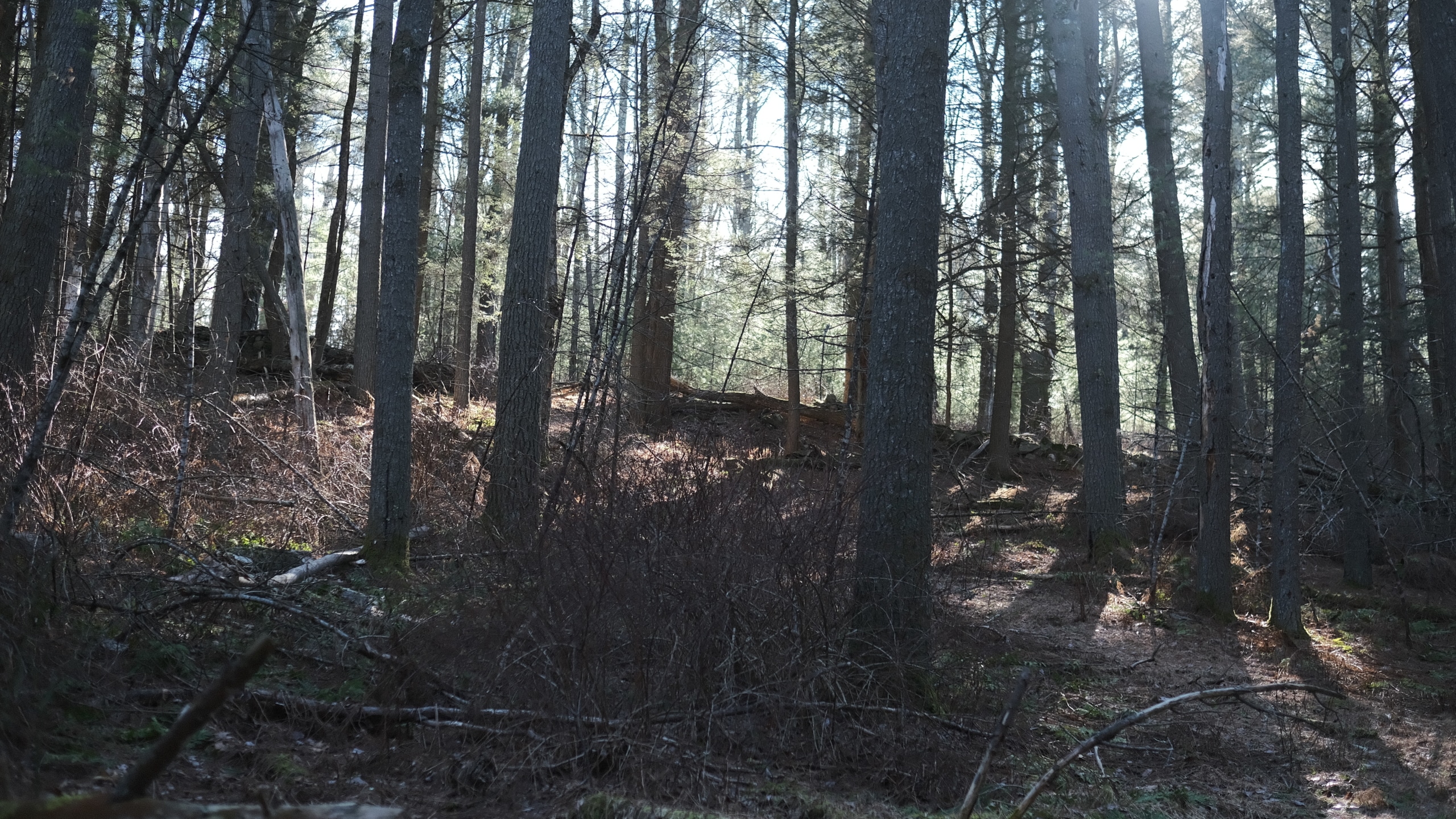 14.34 acres, Sullivan County NY - Image 2