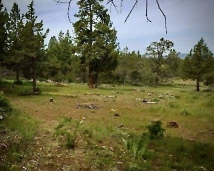 3.05 Acres, Klamath County Oregon, Parcel R387995 3.05 Acres, Klamath, Oregon R387995 - Image 6