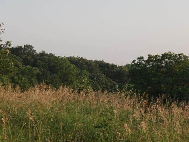 3.0 Acres, Jefferson County MO, Parcel 770260000000101 3 Acres, Jefferson, Missouri 770260000000101 - Image 6