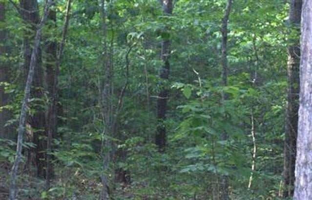 3.0 Acres, Jefferson County MO, Parcel 770260000000101 3 Acres, Jefferson, Missouri 770260000000101 - Image 7