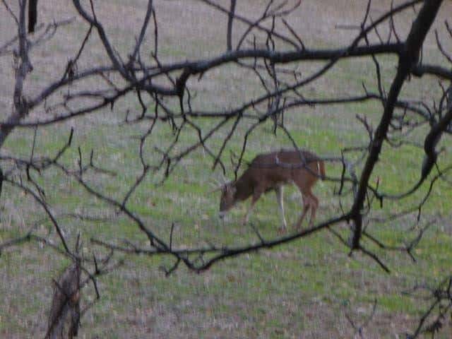 3.0 Acres, Jefferson County MO, Parcel 770260000000101 3 Acres, Jefferson, Missouri 770260000000101 - Image 3