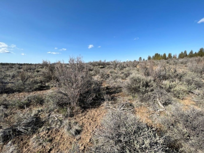 1.80 Acres, Klamath County OR, Parcel 355458 - Image 6