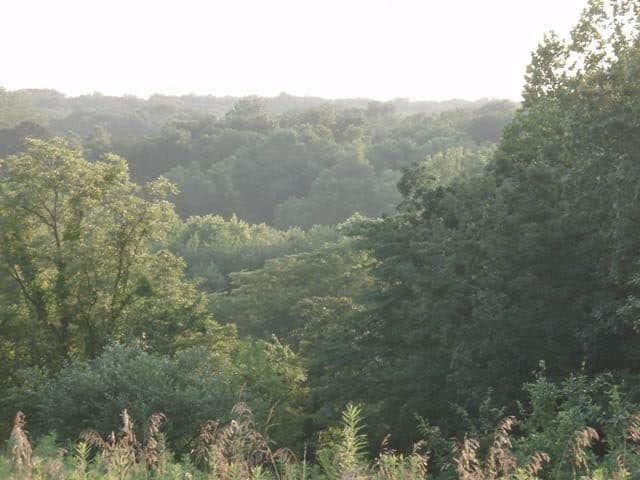 3.0 Acres, Jefferson County MO, Parcel 770260000000101 3 Acres, Jefferson, Missouri 770260000000101