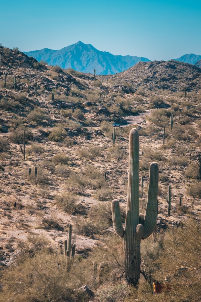 4.56 Acres, Mohave County AZ, Parcel 245-03-179 4.56 Acres, Mohave, Arizona 245-03-179 - Image 10