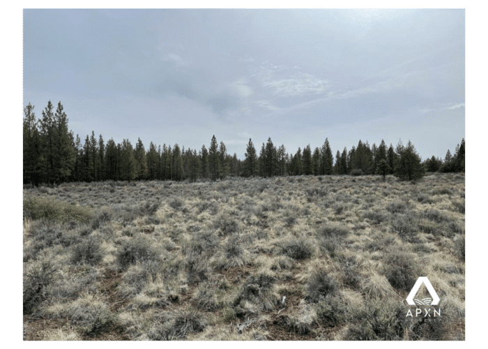 1.52 Acres, Klamath County OR, Parcel R280724 - Image 3