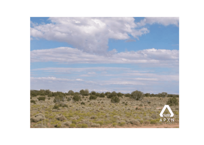 40.0 Acres, Apache County AZ, Parcel 205-46-002 - Image 3