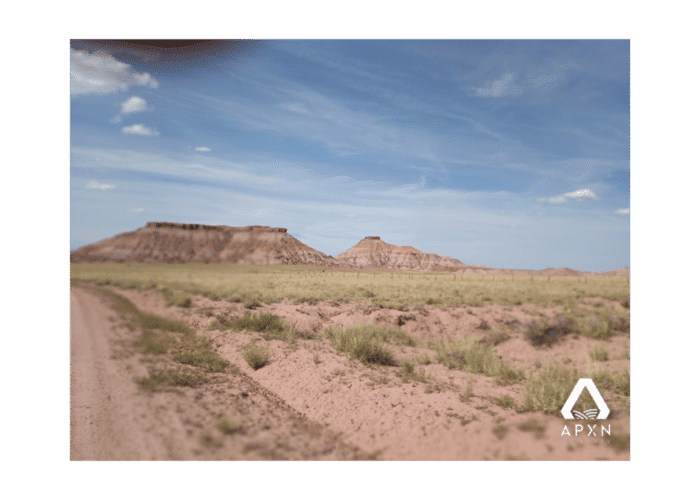 40.00 Acres, Apache County AZ, Parcel 205-09-064 - Image 4
