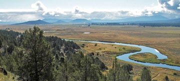 1.63 Acres, Klamath County OR, Parcel R345326 1.63 Acres, Klamath, Oregon 3611-007A0-03500 , ALT APN R345326 - Image 3