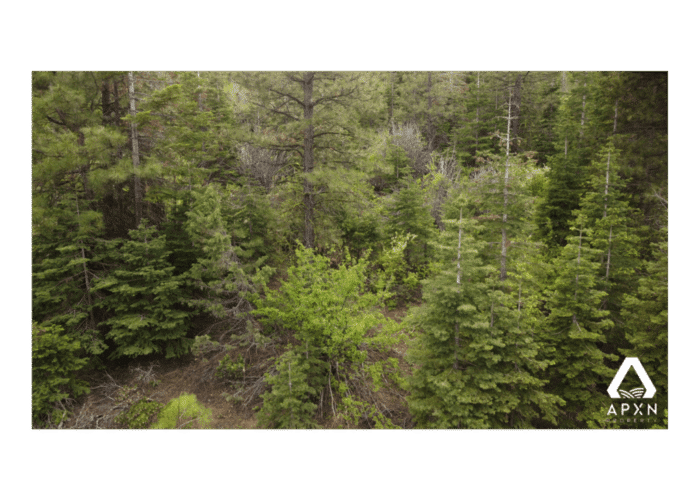 2.20 Acres, Klamath County OR, Parcel R895198 - Image 6