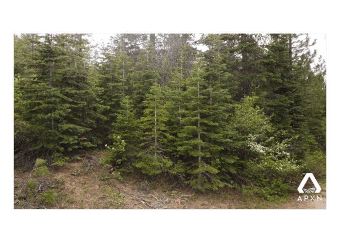2.20 Acres, Klamath County OR, Parcel R895198 - Image 7