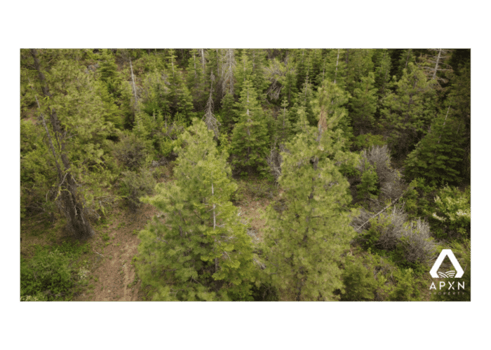 2.20 Acres, Klamath County OR, Parcel R895198 - Image 9