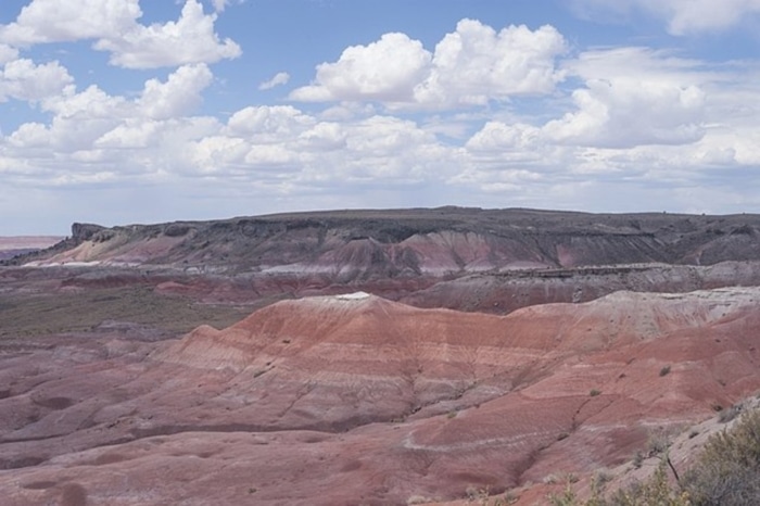 40.00 Acres, Apache County AZ, Parcel 205-09-064