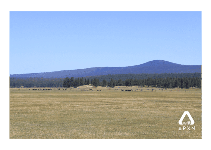 9.86 Acres, Klamath County OR, Parcel R181056 9.86 Acres, Klamath, Oregon Account 181056 / Map and Taxlot 3313-03000-04500 - Image 3