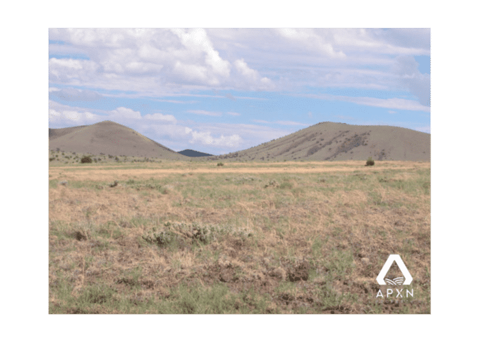 10.0 Acres, Apache County AZ, Parcel 203-55-008B - Image 3
