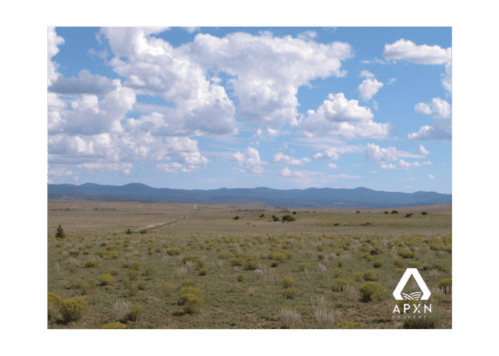 10.0 Acres, Apache County AZ, Parcel 203-55-008B - Image 4