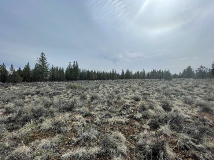10.0 Acres, Klamath County OR, Parcel R290900