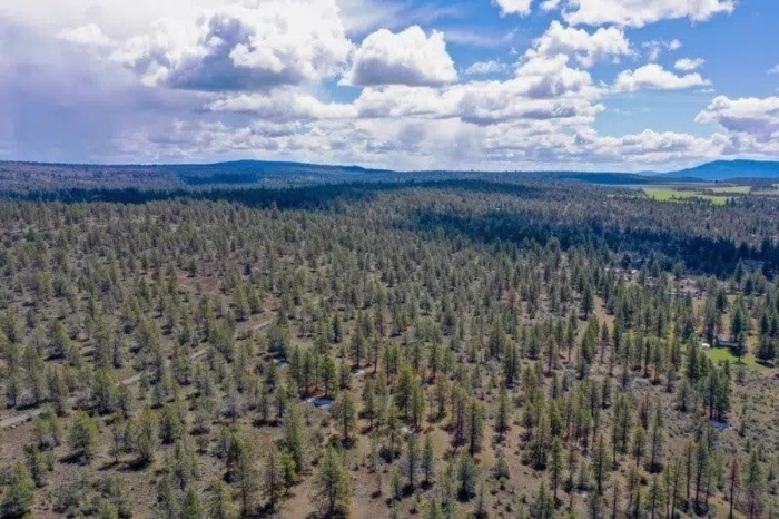 1.68 Acres, Klamath County OR, Parcel R361012 1.68 Acres, Klamath, Oregon Account 361012 / Map and Taxlot 3613-006A0-02400 - Image 2