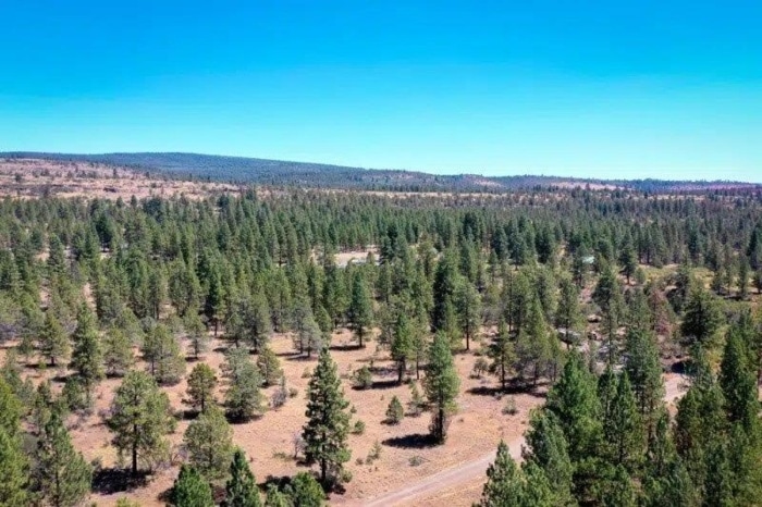 1.68 Acres, Klamath County OR, Parcel R361012 1.68 Acres, Klamath, Oregon Account 361012 / Map and Taxlot 3613-006A0-02400 - Image 4