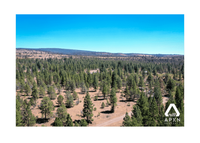 2.34 Acres, Klamath County OR, Parcel R-3811-004D0-00600-000 2.34 Acres, Klamath, OR R-3811-004D0-00600-000 - Image 4