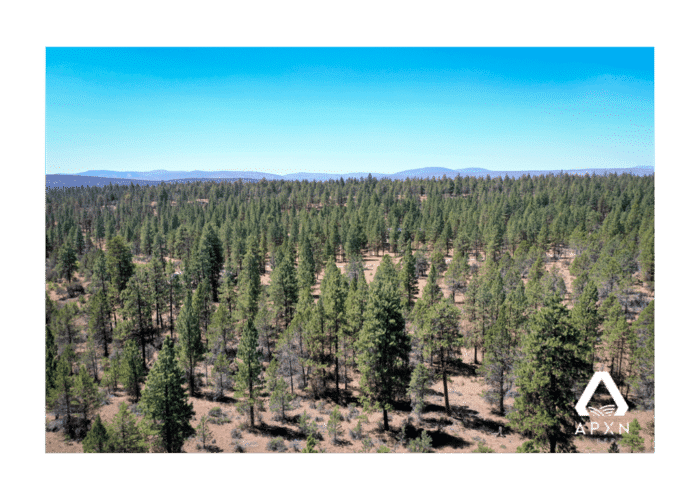 2.34 Acres, Klamath County OR, Parcel R-3811-004D0-00600-000 2.34 Acres, Klamath, OR R-3811-004D0-00600-000 - Image 6