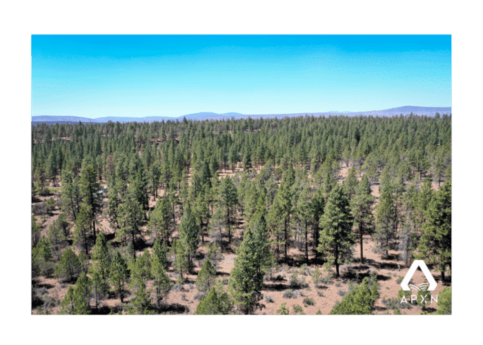 2.34 Acres, Klamath County OR, Parcel R-3811-004D0-00600-000 2.34 Acres, Klamath, OR R-3811-004D0-00600-000 - Image 7