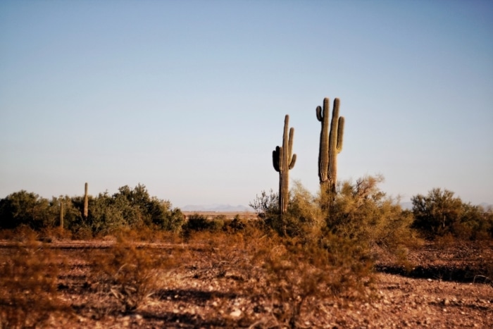 4.78 Acres Mohave County, Arizona, 313-39-027J 4.78 Acres, Mohave, Arizona 313-39-027J - Image 7