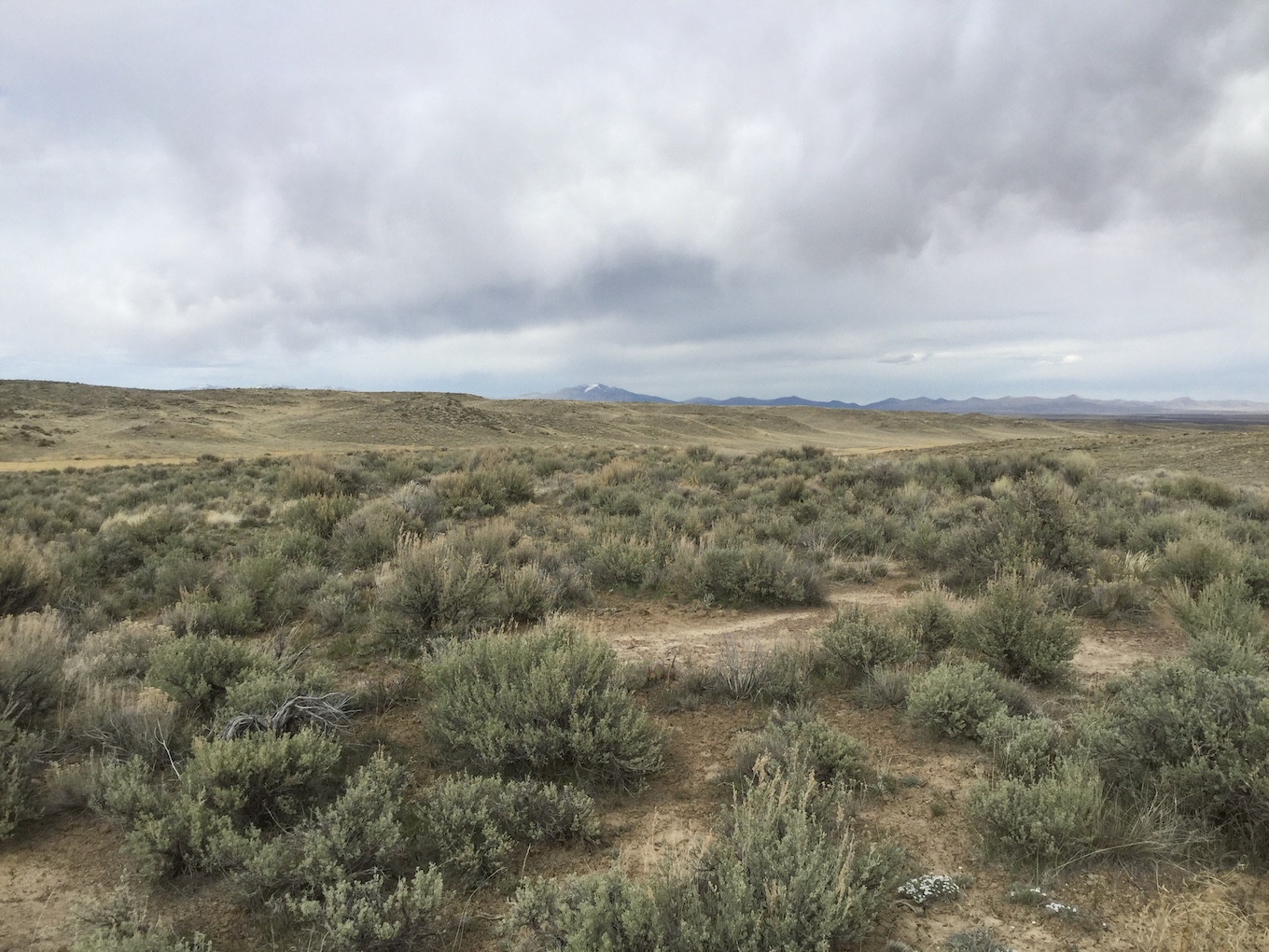 10.0 Acres, Elko County NV, Parcel 007-34C-031 10 Acres, Elko, Nevada 007-34C-031 - Image 2