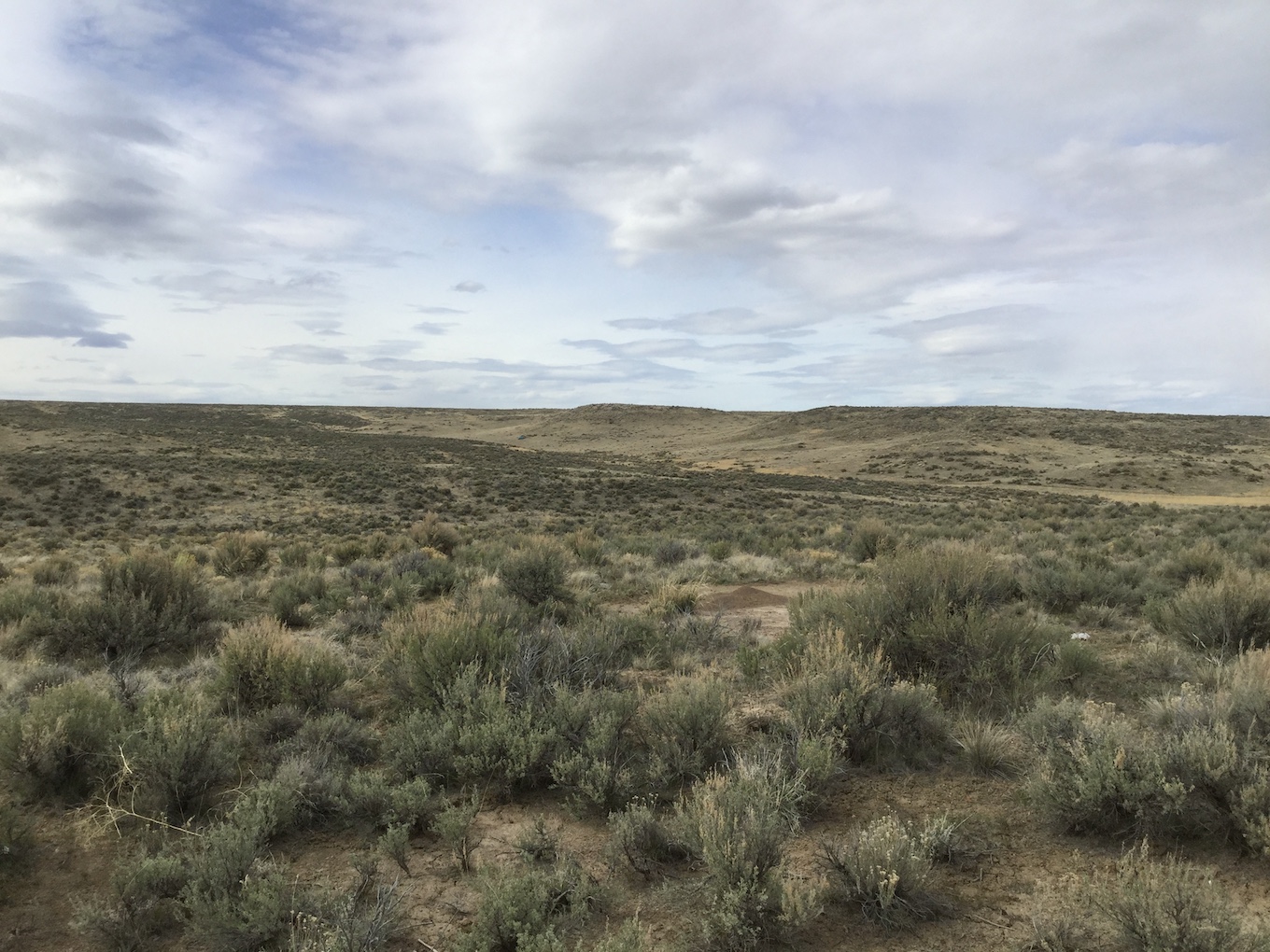 10.0 Acres, Elko County NV, Parcel 007-34C-031 10 Acres, Elko, Nevada 007-34C-031 - Image 4