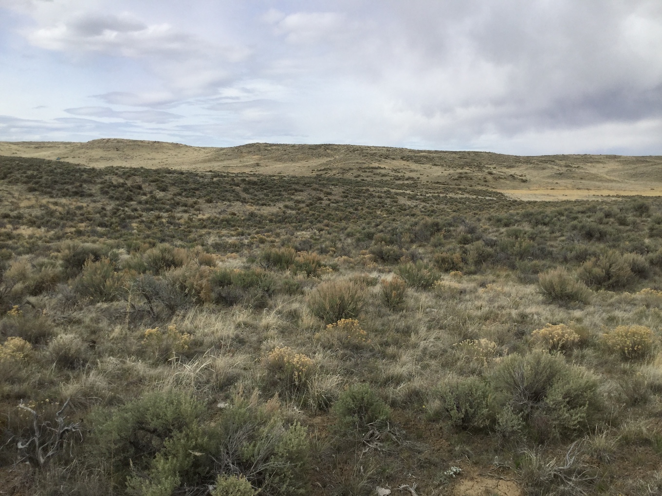 10.0 Acres, Elko County NV, Parcel 007-34C-031 10 Acres, Elko, Nevada 007-34C-031 - Image 7
