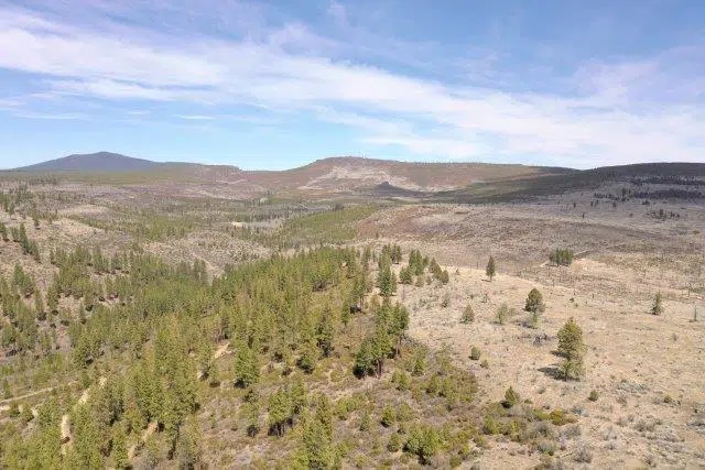 19.06 Acres, Klamath County OR, Parcel R176188, R176133 19.06 Acres, Klamath, Oregon Account 176188 / Map and Taxlot 3313-01300-03400; Account 176133 / Map and Taxlot 3313-01300-03300