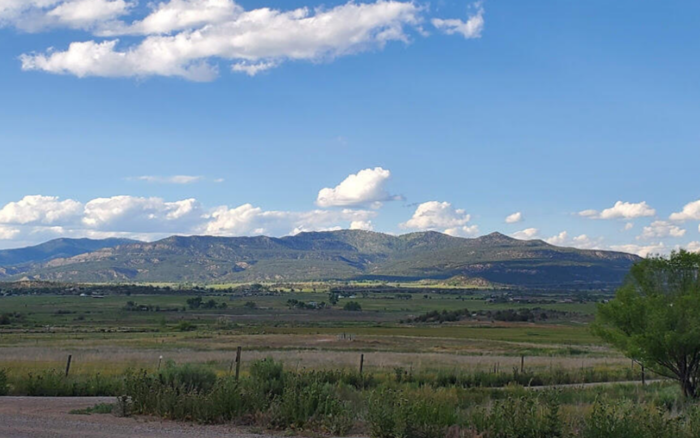 5.0 Acres, San Juan County NM, Parcel 11808 - Image 3