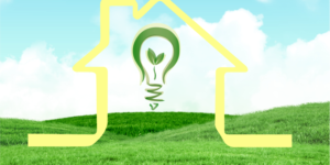 Define your homesteading goals