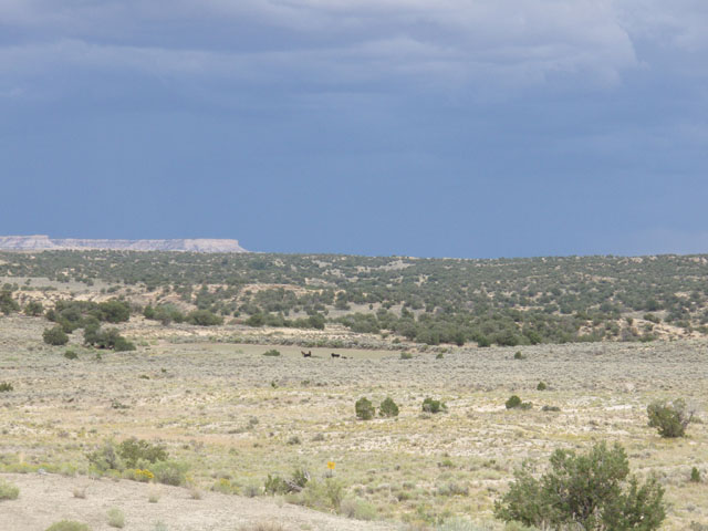 2.39 Acres, San Juan County NM, Parcel 2043181049313 2.39 Acres, San Juan, New Mexico Account: R0012673 / Parcel Number 2043181049313 - Image 8