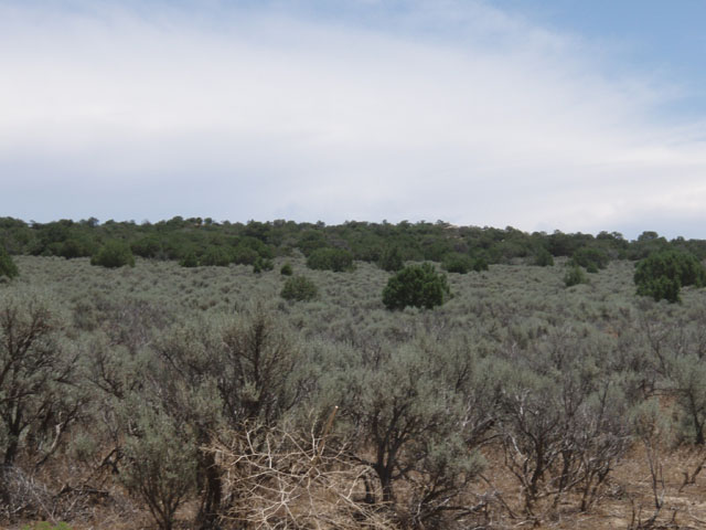 2.39 Acres, San Juan County NM, Parcel 2043181049313 2.39 Acres, San Juan, New Mexico Account: R0012673 / Parcel Number 2043181049313 - Image 7