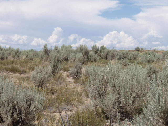 2.39 Acres, San Juan County NM, Parcel 2043181049313 2.39 Acres, San Juan, New Mexico Account: R0012673 / Parcel Number 2043181049313 - Image 3
